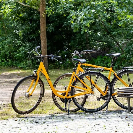 Ringhotel Schorfheide, Tagungszentrum Der Wirtschaft ホテル 4*