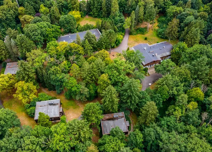 酒店 Ringhotel Schorfheide I Waldresort Werbellinsee