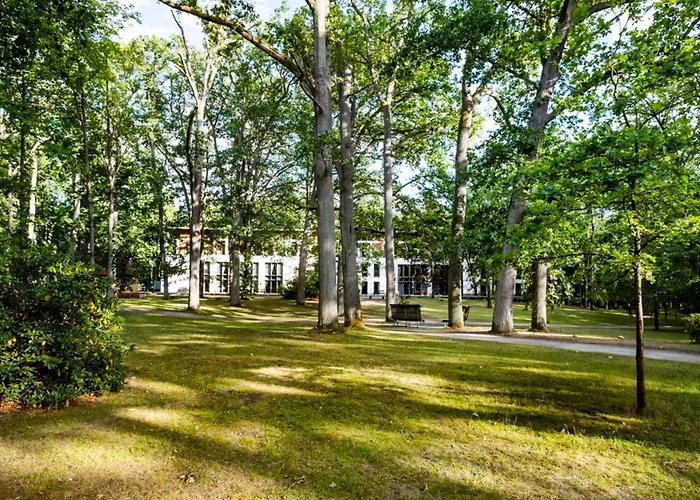 ホテル Ringhotel Schorfheide I Waldresort Werbellinsee